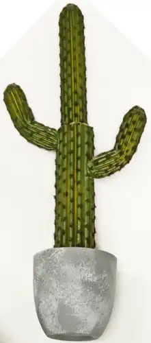 עציץ קקטוס בכלי 38339