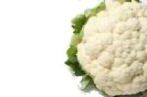 כרובית קנדיד