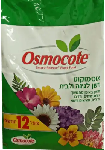 אוסמוקוט לשנה