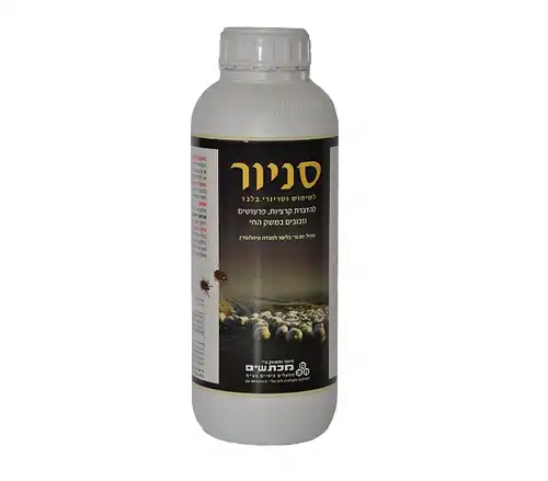 סניור