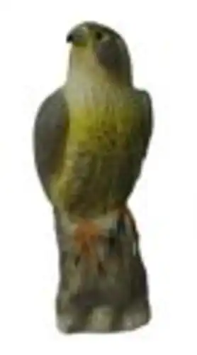 נץ להרחקת יונים